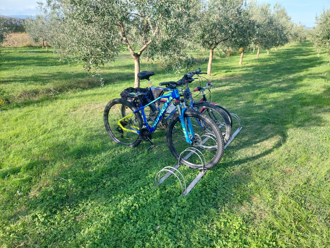 Portabici POVBE rastrelliera in Acciaio Inox da 1 a 6 posti o su misura - immagine 5