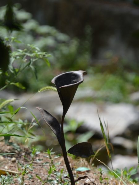 arredi-in-ferro-battuto-13